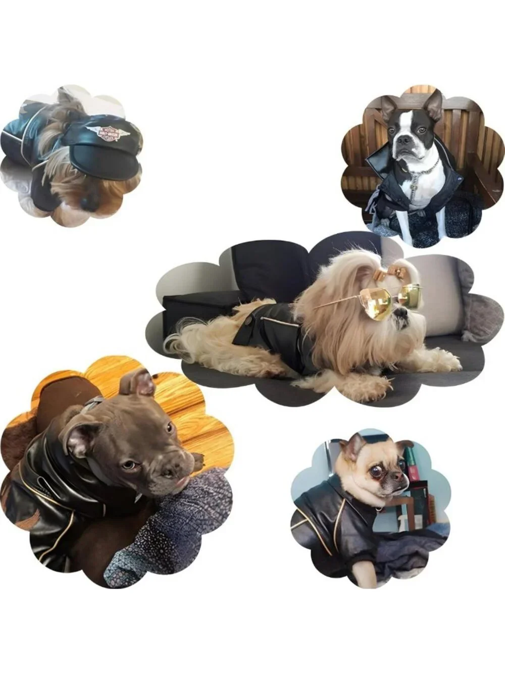 Stylish Waterproof Leather Dog Jacket - Cute Motorcycle Coat for Small & Medium